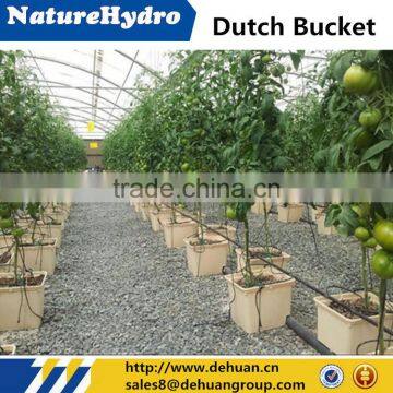 Dutch bucket hydroponic growing system