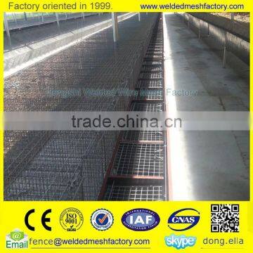 Professional Manufacturer of Mink Metal Cage photo-4