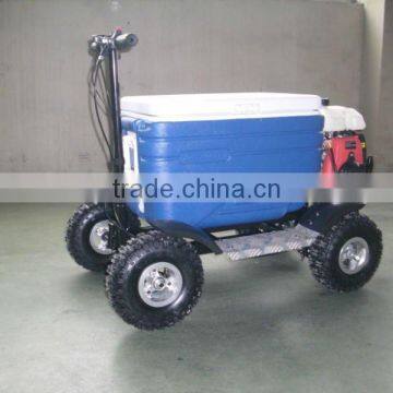 Hot Sale Popular Gas Cooler Scooter 43CC SX-G110 Popular From China photo-6