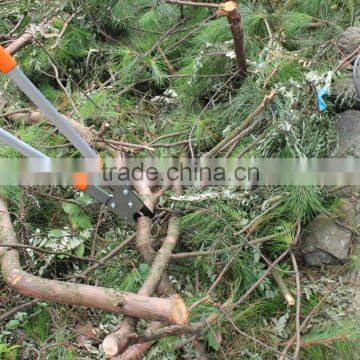 Anvil Lopper With Telescopic Alum Handle photo-5