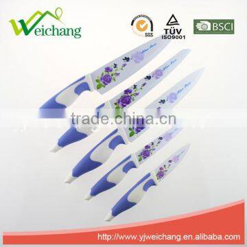 WCE567 5 pcs set Kitchen Knives artwork painting blade PP with TPR handle , hot sale, Wholesale