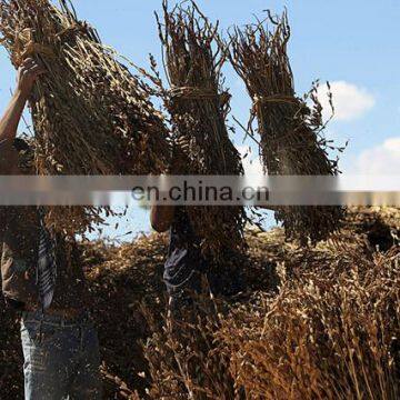 high efficiency grain thresher/wheat thresher rice threshing machine