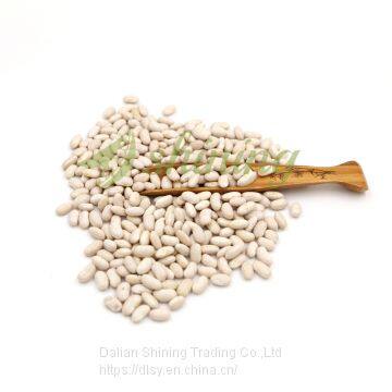 White Kidney Beans Bashake Long Shape photo-3