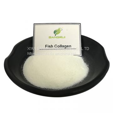 Hot sales food grade anti-aging fish collagen peptide return to the youth