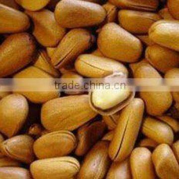 Pine nut kernel