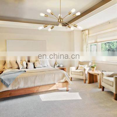 Modern Black Ceiling Light Rustic Chandelier for Bedroom Kitchen Sputnik Chandelier photo-4