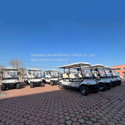 Beach off-road electric golf cart, 6-seater golf cart