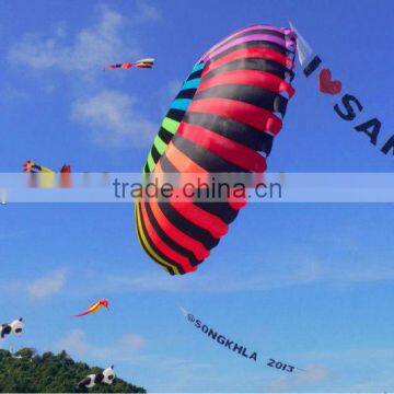 6m ring kite / crown kite