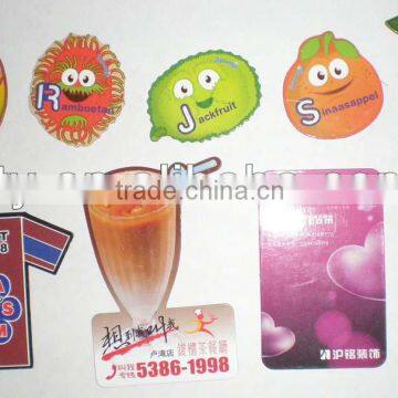 paper fridge magnet stickers(M-C184)