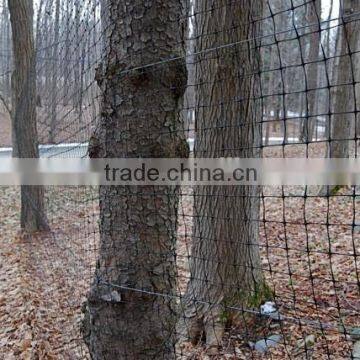 Factory Chicken Plastic Net/hencoop Plastic Net photo-4