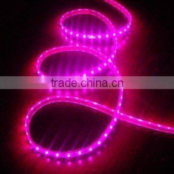 SMD 5050 red led strip