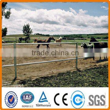 Hot dipped galvanized livestock beef/cattle/horse fencing panels(supplier)