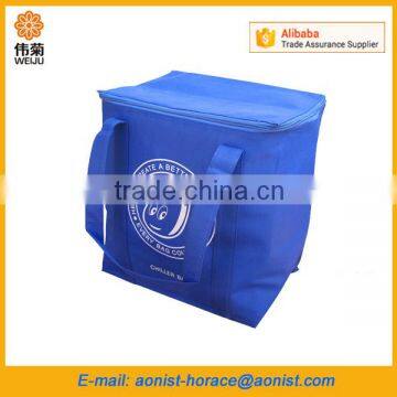 Peva Liner Insulated Lunch Cooler Bag
