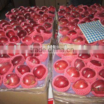 new fresh apple chinese huaniu apple