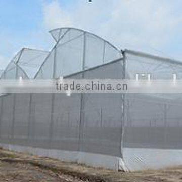 Greenhouse Film photo-5