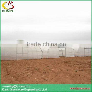 Low Cost High Tunnel Greenhouse for Tomato Growing