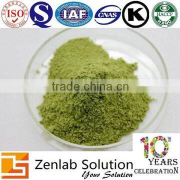 Moringa Oleifera Leaf Extract Powder photo-5
