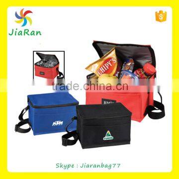 New arrival disposable insulated cooler bag for frozen food