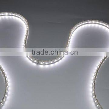 Outdoor Waterproof 220V AC Flex IP65 Tube Around 5050 Led Strip photo-3