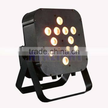 12*10W 4in1 Rgbw Led Mini Par Can