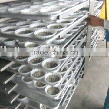 Frozen Yogurt Powder Dryer photo-4