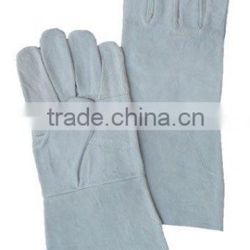 Economy Gloves