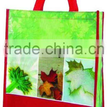 China Supplier Avon Audit pp Woven Bag photo-5