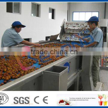 Dates Production Line photo-2