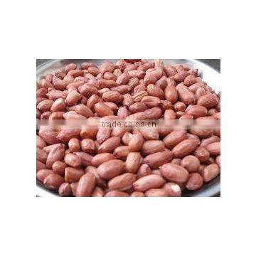 Blanched Peanut Without Skin - Count 38/40 40/50 50/60 photo-3