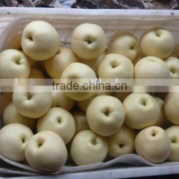 2015 New Crop Fresh Emerald Pear With Good Price photo-2