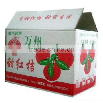 3Ply/5Ply Carton box for Fruits and Vegetables