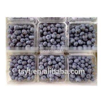 IQF Frozen Chinese China Best Quality Better Quality Wild Blueberry Blueberries photo-6