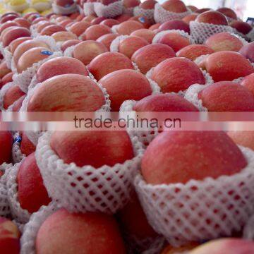 2016 Fresh Red Star Apples With High Quality for Sale Chinese Fresh Red Star Apples Factory photo-2