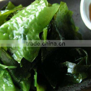 Frozen kosher seasoned bulk seaweed salad