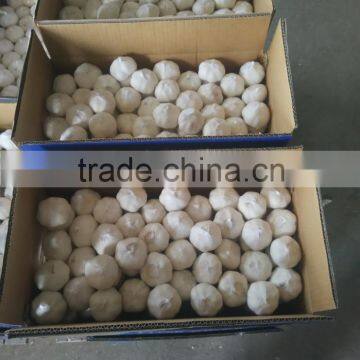 2016 New Fresh White Garlic at Cheap Price photo-4