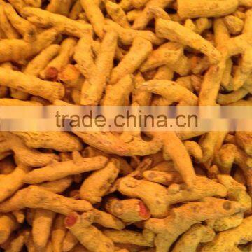 INDIAN TURMERIC photo-3