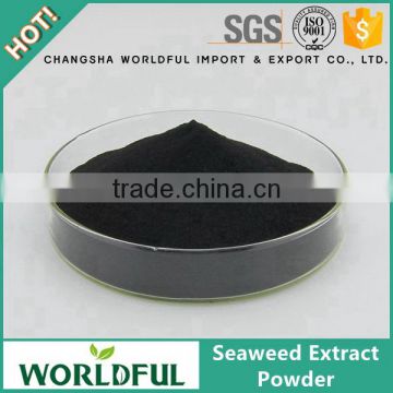 China Supplier High Concentrated Black Seaweed Extract Powder For Fertilizer Seaweed Extract