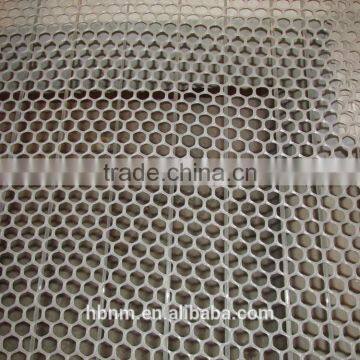 HB serious plastic chicken net floor with high quality and best price