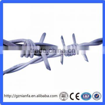 House Used for Protection 12*14 50m Galvanized Wire In Stock(Guangzhou Factory)