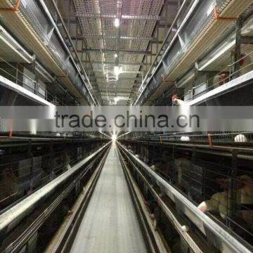 chicken egg layer cages