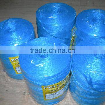 pp tomato twine blue color