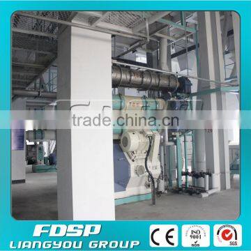 FDSP Supplier of Poultry Feed Pellet Making Line Equipment for Sheep/Cattle Feed photo-6