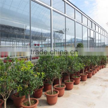 High quanlity green house for vegetables