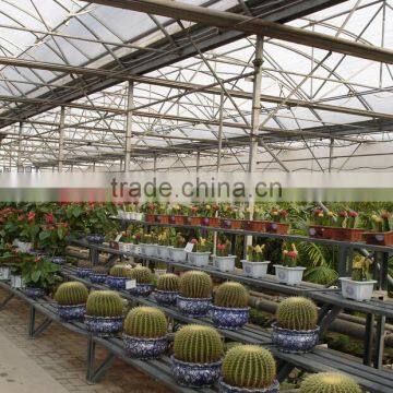 Modern Appearance Used Greenhouse Sale/greenhouses for Tomatoes for Sale/commercial Greenhouse for Sale photo-5