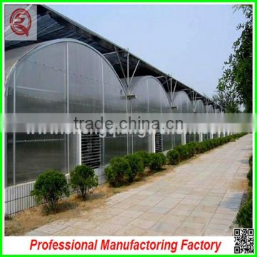 Hot sale multi-span 6.0m PO film greenhouse for agriculture