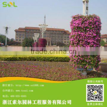 2015 New Products Self-watering Garden Planter for Lamp Post Decoration photo-5