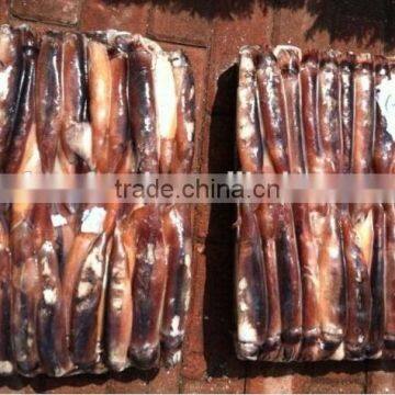 da Nang Illex Squid photo-1