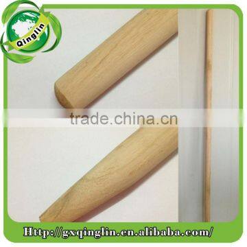 Eucalyptus Broomstick photo-5