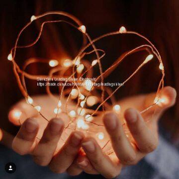 USB 5 meter 50 lights 10 meter 100 lights colorful munti color choosing customized copper string fairy firefly light