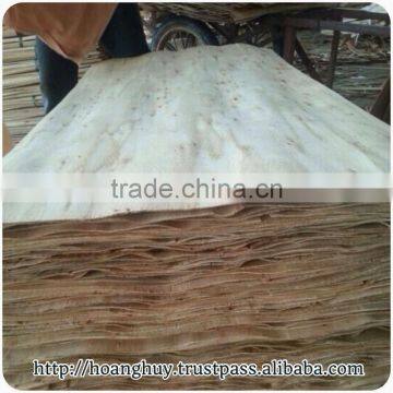 VIETNAM EUCALYPTUS VENEER